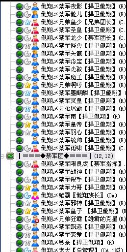 曾经辉煌的儱翔