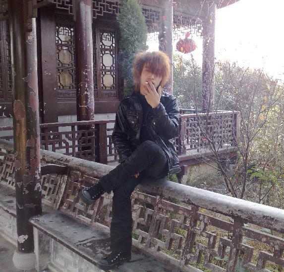 儱翔乄杨少